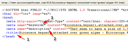ejemplo de HTML Head